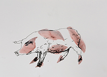Schweindl, Tusche auf Papier, 2020