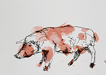 Schweindl, Tusche auf Papier, 2020